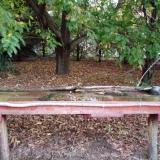 photo 2021-10-03 06-36-20