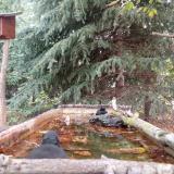 photo 2023-10-10 08-51-43