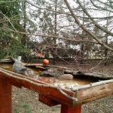 photo 2022-03-17 10-13-12