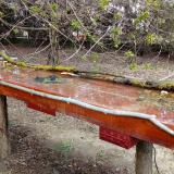 photo 2021-04-07 12-36-03