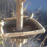 photo 2019-12-31 14-16-59