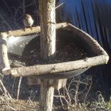 photo 2019-02-23 15-35-06