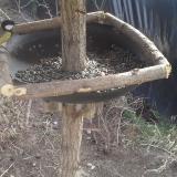 photo 2019-02-20 12-17-55