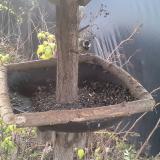 photo 2019-12-21 08-57-51