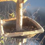 photo 2019-12-26 15-11-06