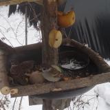 photo 2019-01-27 11-54-03