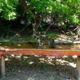 photo 2021-05-08 11-15-18