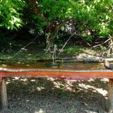 photo 2021-05-08 11-14-46