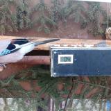 photo 2021-02-28 07-00-37