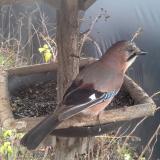 photo 2019-12-25 12-16-58