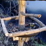 photo 2019-01-02 08-12-09