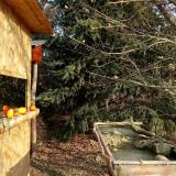 photo 2021-12-22 09-54-25