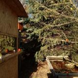 photo 2021-12-31 13-28-52