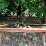 photo 2021-07-13 08-00-06