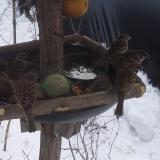 photo 2019-01-27 11-34-16