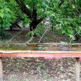 photo 2021-05-20 15-37-48