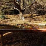 photo 2021-10-25 14-33-36