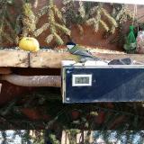 photo 2021-02-13 11-02-47