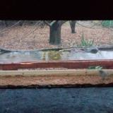 photo 2021-11-28 15-15-26