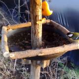 photo 2019-02-06 16-10-43