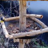 photo 2019-01-02 08-25-59