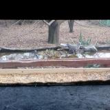 photo 2021-12-01 12-01-41