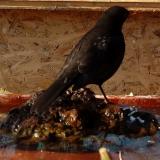 photo 2022-01-23 12-32-51 rigo