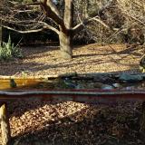 photo 2021-10-29 15-37-26