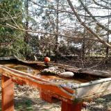 photo 2022-03-26 08-57-45