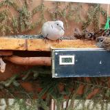 photo 2021-03-04 12-42-06