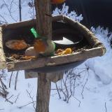 photo 2019-01-26 09-59-13