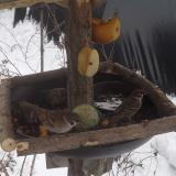 photo 2019-01-27 11-48-44