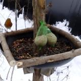 photo 2019-01-10 09-21-09