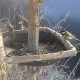 photo 2019-12-31 12-04-16