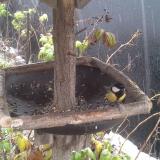 photo 2019-12-02 11-42-08