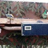 photo 2021-02-08 09-02-16