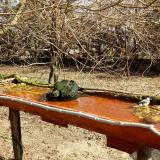 photo 2021-03-26 09-40-13