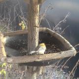 photo 2019-12-29 14-15-50