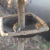 photo 2019-03-14 06-42-11