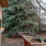 photo 2021-12-16 12-51-24