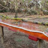 photo 2021-04-01 17-32-37