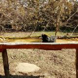 photo 2021-03-11 10-24-12