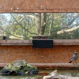 photo 2023-10-26 15-20-02