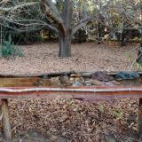 photo 2021-10-26 07-55-37