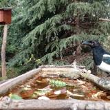 photo 2023-10-20 14-11-57