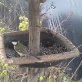 photo 2019-12-21 09-19-21