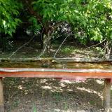 photo 2021-05-12 11-11-39