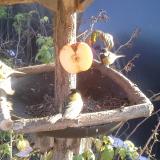 photo 2019-12-03 13-57-55