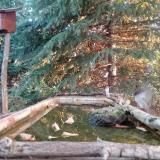 photo 2023-10-14 07-47-49