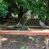 photo 2021-07-08 08-10-24